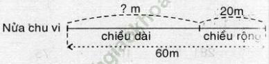 Giải bài 4 trang 89 sgk Toán 3 ảnh 1