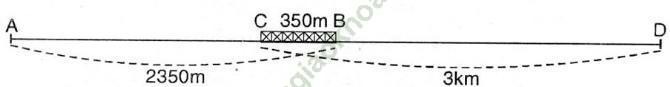 Giải bài 4 trang 155 sgk Toán 3 ảnh 1