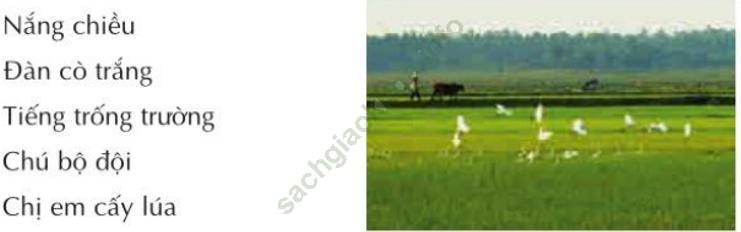 Bài thực hành 4 trang 90 SGK Tin học 3 - Cùng học Tin học Quyển 1 lớp 3 ảnh 1