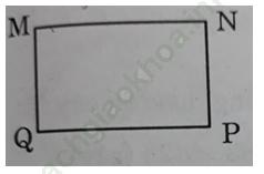 Bài 2 trang 13 VBT Toán 3 Tập 1 ảnh 2