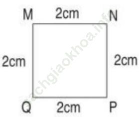 Bài 4 trang 65 VBT Toán 3 Tập 1 ảnh 2