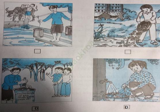 Bài 2 trang 49 VBT Đạo Đức 3 ảnh 2