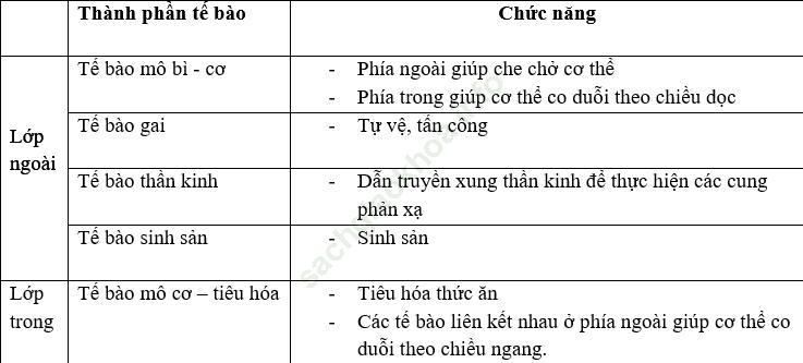 Giải bài 3 trang 32 sgk Sinh 7 ảnh 1