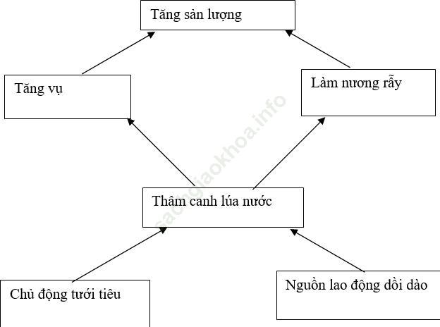 Bài 2 trang 28 Địa Lí 7 ảnh 1