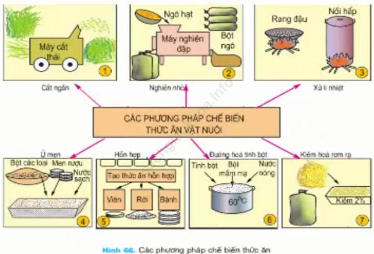 Trả lời câu hỏi Bài 39 trang 104 Công nghệ 7 ảnh 1