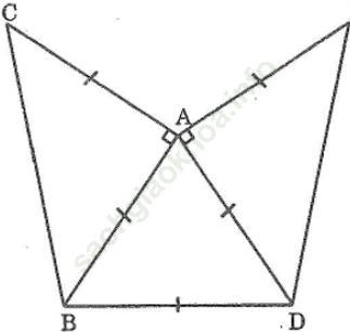 Bài 71 trang 147 SBT Toán 7 Tập 1 ảnh 1