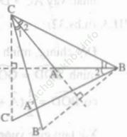 Bài 6 trang 55 SBT Toán 7 Tập 2 ảnh 1
