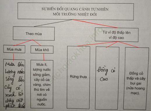 Câu 3 trang 17 SBT Địa Lí 7 ảnh 1