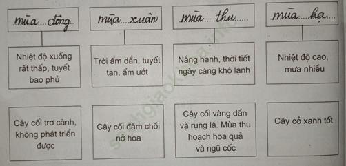 Câu 5 trang 32 SBT Địa Lí 7 ảnh 1