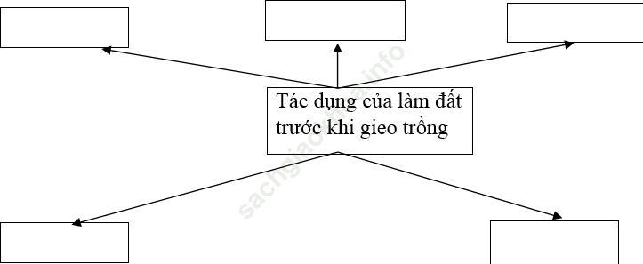 Bài 3 trang 25 SBT Công nghệ 7 ảnh 1