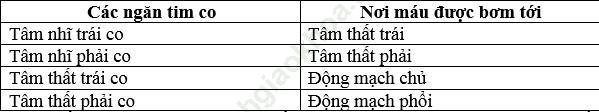 Trả lời câu hỏi Sinh 8 Bài 17 trang 54 ảnh 2