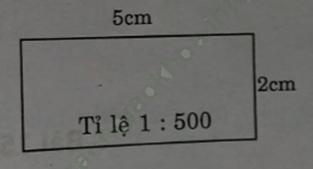 Bài 3 trang 79 VBT Toán 4 Tập 2 ảnh 1