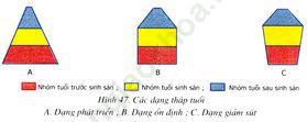 Giải bài 2 trang 142 sgk Sinh 9 ảnh 1