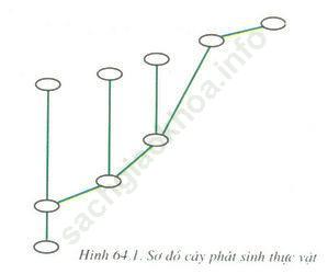Giải bài 1 trang 192 sgk Sinh 9 ảnh 1