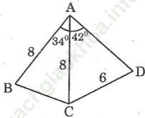 Bài 54 trang 113 SBT Toán 9 Tập 1 ảnh 2