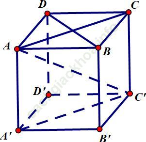 Trả lời câu hỏi Toán 11 Hình học Bài 2 trang 94 ảnh 1