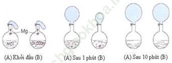 Giải bài 4 trang 256 SGK Hóa 11 nâng cao ảnh 1