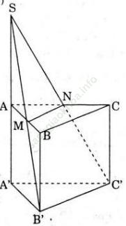 Giải bài 5 trang 31 SGK Hình Học 12 nâng cao ảnh 1