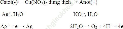 Giải bài 8 trang 140 SGK Hóa 12 nâng cao ảnh 1