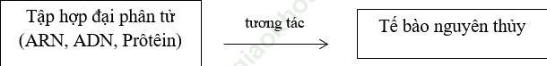 Bài 2 trang 180 sgk Sinh học 12 nâng cao ảnh 2