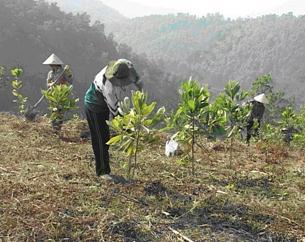 Trả lời câu hỏi Khoa học 5 Bài 68 trang 141 ảnh 1