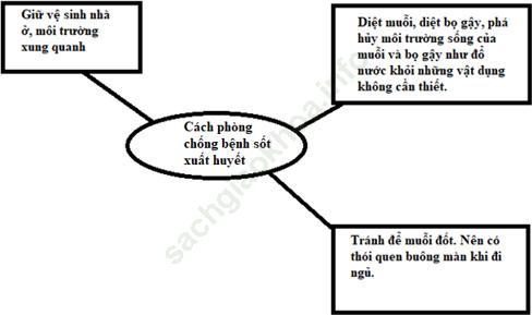 Trả lời câu hỏi Khoa học 5 Bài 20-21 trang 43 ảnh 2