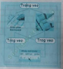 Bài 4 trang 72 SBT Tin học 3 ảnh 1