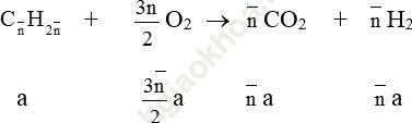 Phản ứng đốt cháy của anken ảnh 1