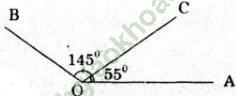 Giải bài 27 trang 85 SGK Toán 6 Tập 2 | Giải toán lớp 6