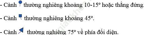 Bài 14: Thực hành - Cắm hoa ảnh 5
