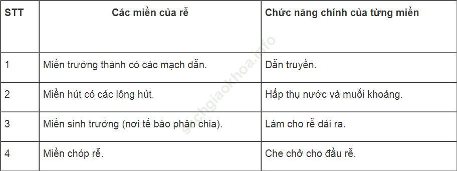 Bài tập tự luận trang 21 SBT Sinh học 6 ảnh 1