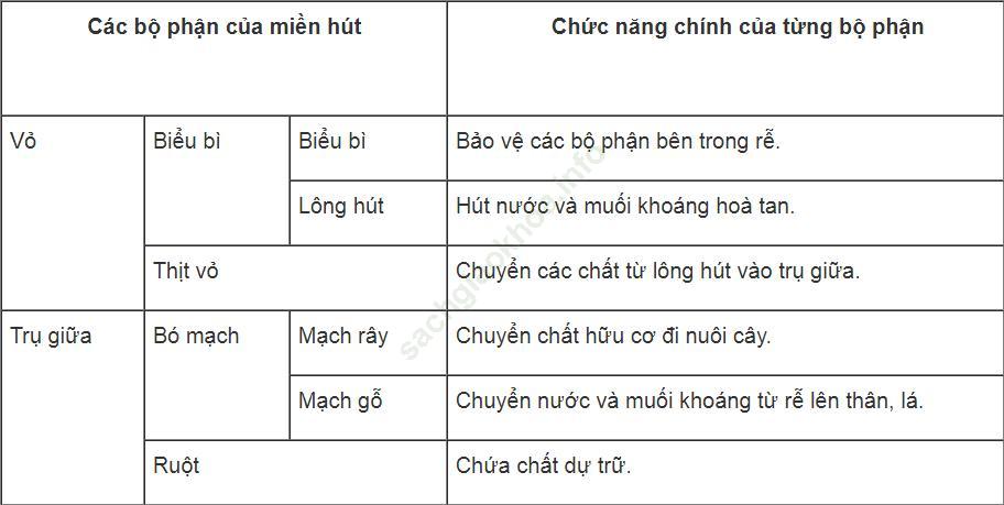 Bài tập có lời giải trang 19,20 SBT Sinh học 6 ảnh 2
