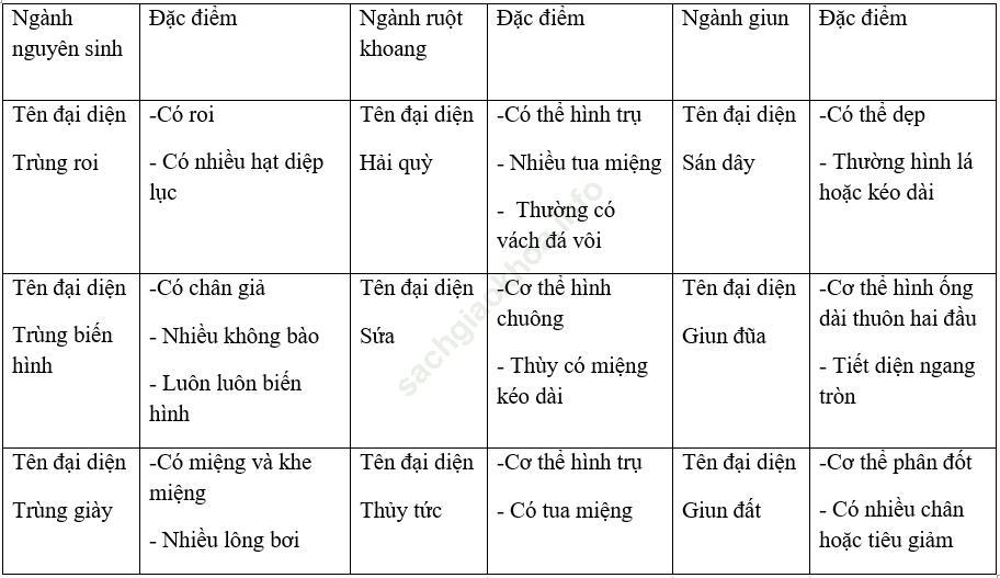 Bài 30: Ôn tập phần 1 - Động vật không xương sống ảnh 1