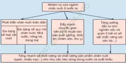 Bài 30: Vài trò và nhiệm vụ phát triên chăn nuôi ảnh 1
