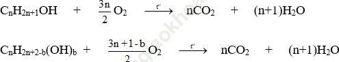 Dạng 8: Phản ứng oxi hóa ancol ảnh 1