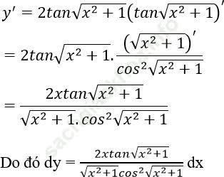 Dạng 1: Tìm vi phân của hàm số ảnh 13