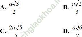 Cách tính khoảng cách từ một điểm đến một mặt phẳng (sử dụng hình chiếu) hay, chi tiết - Toán lớp 11