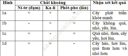 Bài 59: Nhu cầu chất khoáng của thực vật ảnh 2
