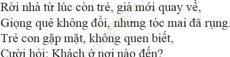 Ngẫu nhiên viết nhân buổi mới về quê ảnh 2