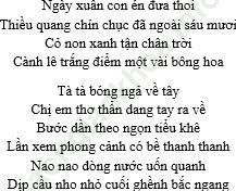 Soạn bài: Miêu tả trong văn bản tự sự ảnh 2