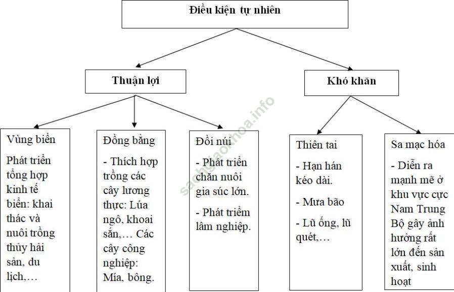 Giải VBT Địa Lí 9 Bài 25: Vùng duyên hải Nam Trung Bộ | Giải vở bài tập Địa Lí 9