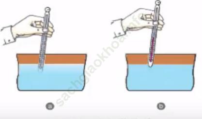 Lý thuyết & Trắc nghiệm Bài 51: Thực Hành : Xác định nhiệt độ ,độ trong và độ pH của nước nuôi thuỷ sản ảnh 1