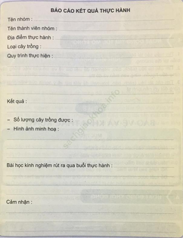 Công nghệ 7 VNEN Bài 7: Trồng và chăm sóc rừng ảnh 2