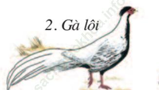 Lý thuyết & Trắc nghiệm Bài 53: Môi trường sống và sự vận động di chuyển ảnh 2