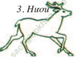 Lý thuyết Sinh học 7 Bài 53: Môi trường sống và sự vận động di chuyển (hay, chi tiết) | Lý thuyết đầy đủ nhất