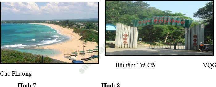 Giáo án Địa Lí 8 Bài 36: Đặc điểm đất Việt Nam | Giáo án Địa Lí 8 mới, chuẩn nhất