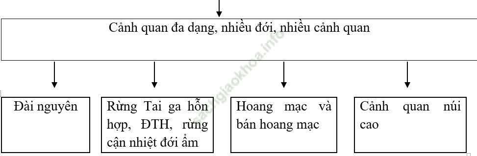 Giáo án Địa Lí 8 Ôn tập | Giáo án Địa Lí 8 mới, chuẩn nhất