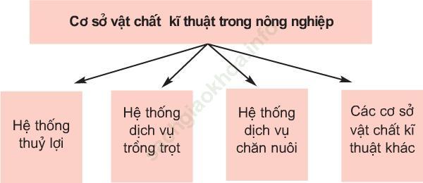 Lý thuyết & Trắc nghiệm Bài 7: Các nhân tố ảnh hưởng đến sự phát triển và phân bố nông nghiệp ảnh 2