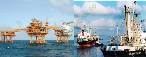 Giáo án Địa Lí 9 Bài 39: Phát triển tổng hợp kinh tế và bảo vệ tài nguyên, môi trường Biển - Đảo (tiếp theo) | Giáo án Địa Lí 9 mới, chuẩn nhất