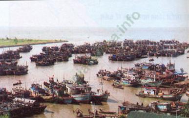 Lý thuyết Địa Lí 9 Bài 38: Phát triển tổng hợp kinh tế và bảo vệ tài nguyên, môi trường Biển - Đảo